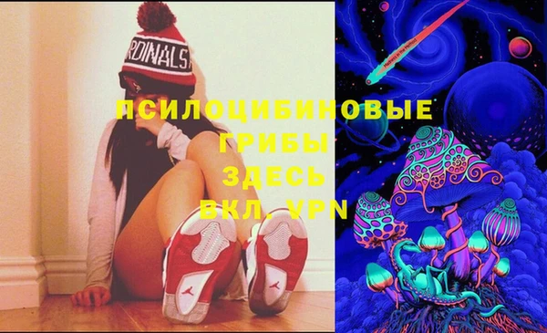 амф Абинск